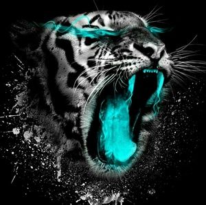 Meet your Posher, Joaquin